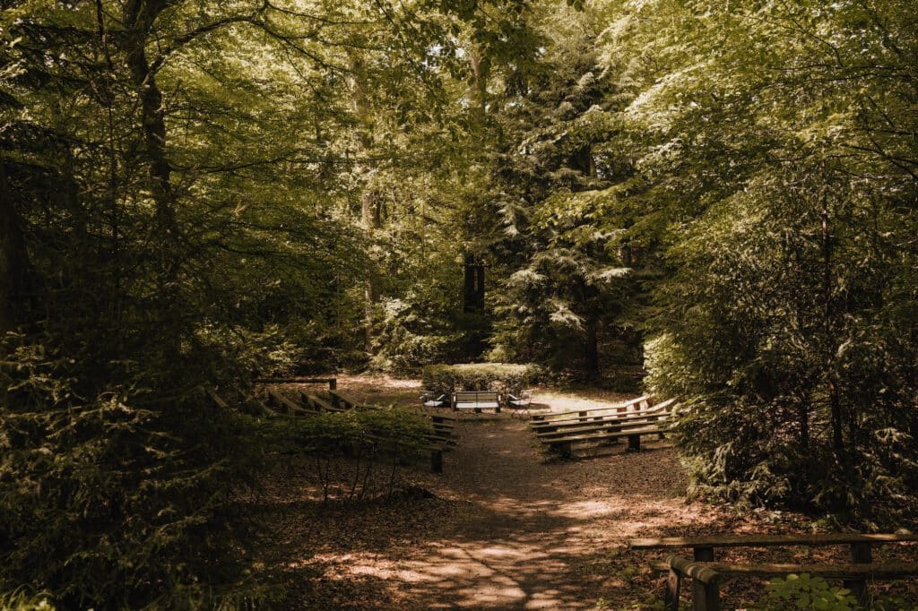 Waldhochzeit NRW: 3 Locations für eure Natur-Trauung 4 lau ni hochzeit 052026 TK102077