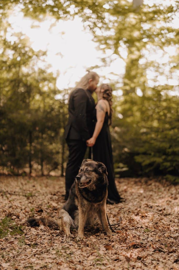 Waldhochzeit NRW: 3 Locations für eure Natur-Trauung 6 lau ni hochzeit 052026 TK27985